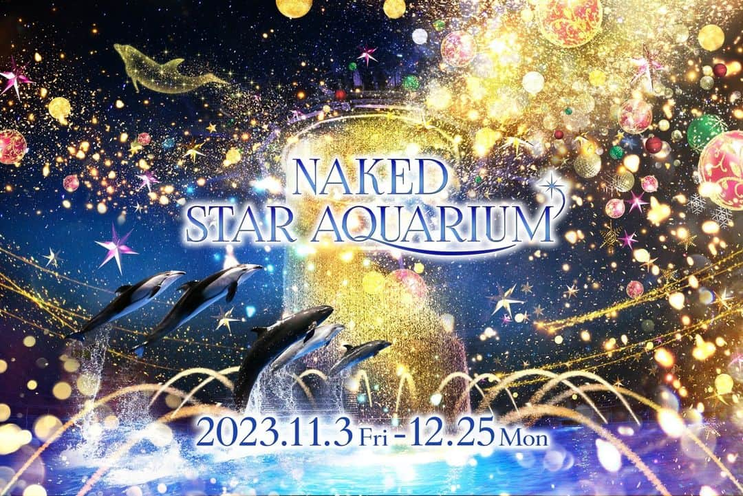 アクアパーク品川のインスタグラム：「＼COMING SOON！／  2023年11月3日(金・祝)～12月25日(月)の期間、クリスマスイベント「NAKED STAR AQUARIUM」を開催🎄✨  プロジェクションマッピングで描いた無数の星やオーナメントが、空間を鮮やかに彩ります⭐ 夜のドルフィンパフォーマンスは、きらめきあふれる星空の海をイルカたちが舞うような、幻想的な舞台をお届け！  冬でも暖かい屋内で、アクアパークならではの海の世界のイルミネーションをぜひお楽しみください🐠✨  #NAKEDスターアクアリウム #クリスマス #イベント #christmas #クリスマスデート #イルミネーション #マクセルアクアパーク品川 #MaxellAquaParkShinagawa #アクアパーク #aquapark #アクアパーク品川 #aquaparkshinagawa #水族館 #aquarium #水族館デート #デート #お出かけ #冬 #あったかスポット #東京 #都内 #品川 #駅近 #東京観光 #屋内遊び場 #品川プリンスホテル #品プリ」