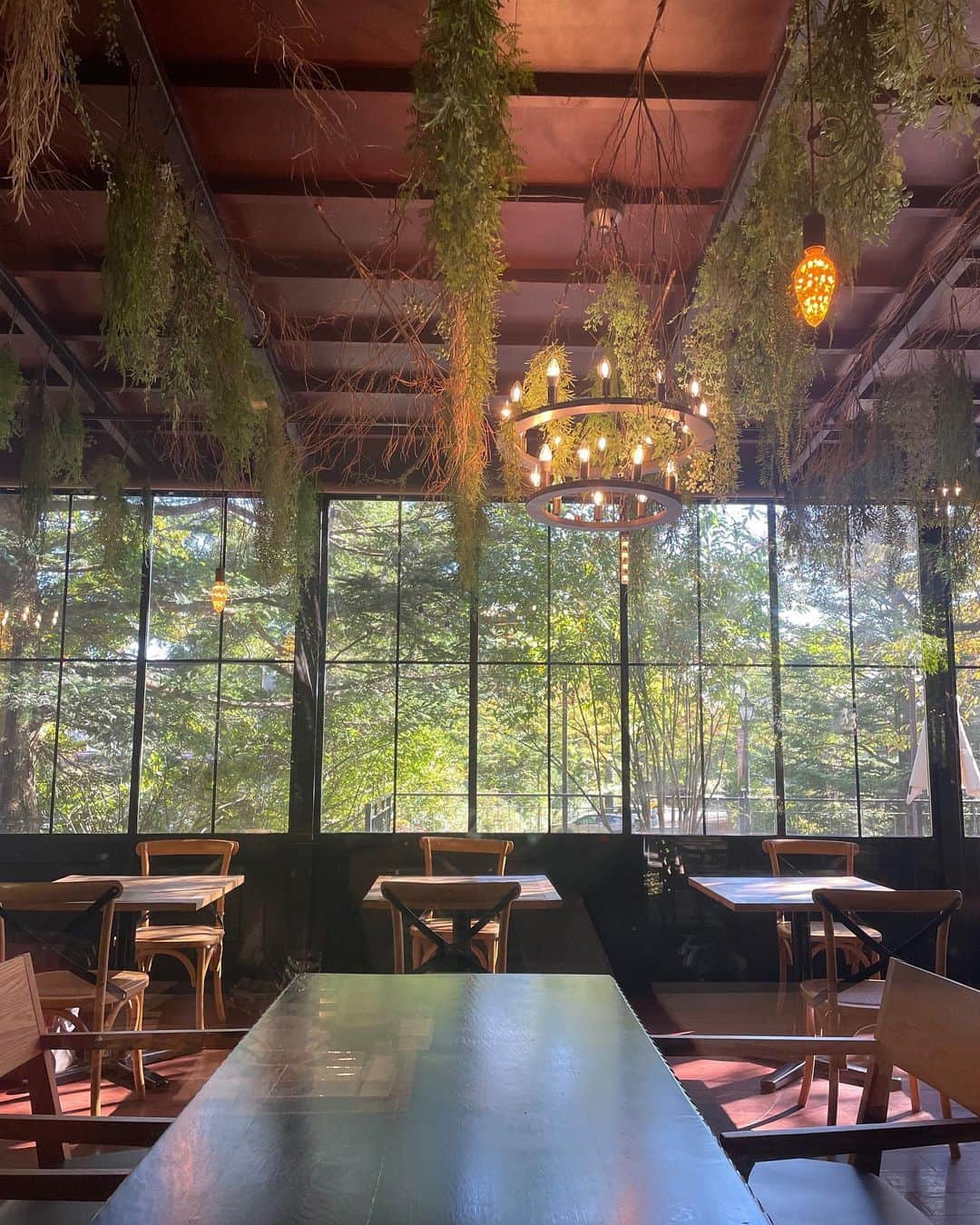 のインスタグラム：「🌿  おいしい空気と、おいしい食べ物 目にもおいしい緑🍃と紅葉🍁  たっくさん吸収！  ❋  10年近くぶりの祖母👵との旅。 行きたい！とご希望だった軽井沢に お天気にも恵まれ、一緒に行けました♡  今回は女子だけの女旅🌸 (じいじ、パパごめんなさいね笑)  家族はかけがえのない存在で、 生まれてからというもの 今まで沢山の事をしてきてもらっていて  大そうな事は出来ないけれども やっと旅行にも行きやすくなった今、 出来るだけの希望や思い出、 時間をこれからも共にしていきたいなと✨  . #軽井沢 #軽井沢旅行 #長野 #アイスは妹の手 私あんな長い爪で生活出来ない🤣 懐かしの #峠の釜飯 #karuizawa #nagano #japan」
