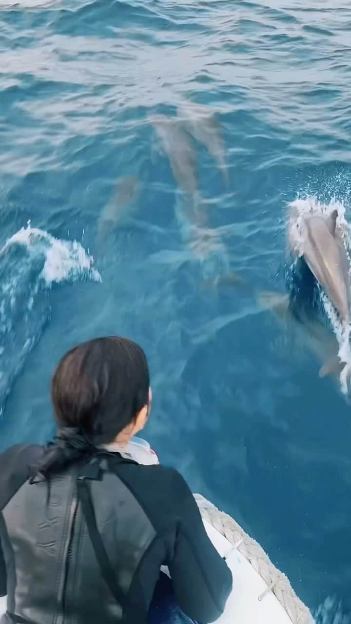 Prilly Latuconsinaのインスタグラム：「14 Oktober 2023.  Sehari sebelum ulang tahun, Cek dive dulu di Nusa Laut Maluku. Selesai dive, disambut sama Lumba-Lumba! Senang sekali sampe nangis terharu hahaha. Udah lama aku mau ketemu sama Lumba-Lumba. Terakhir 2017 pas trip ke Singaraja. Momen ini jadi salah satu kado yang indah untukku menyambut umur yang baru. Bersyukur sekali! 💙🙏🏻  btw aku emang sangat cengeng yaa hahaha sekali-sekali posting yang lagi menye-menye gini biar gak dikira strong terus 😋😛  agak malu pas mas yang bawa kapal kaya "lah kenapa Prillynya nangis?" 😅 ya emang giniii mas saya mas hahahah  Video by @tashapraharsacitta 📹」