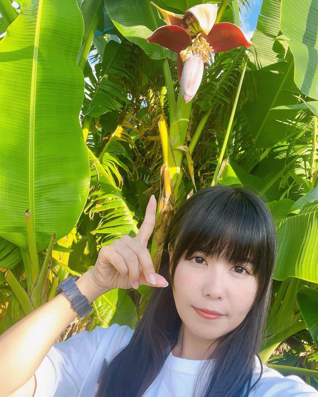 そらなさゆりさんのインスタグラム写真 - (そらなさゆりInstagram)「⁡ ⁡ ⁡ ⁡ このハシビロコウみたいな植物はなんでしょ〜✨ ⁡ ⁡ ⁡ #そらな農園」10月19日 14時59分 - sayuri_solana