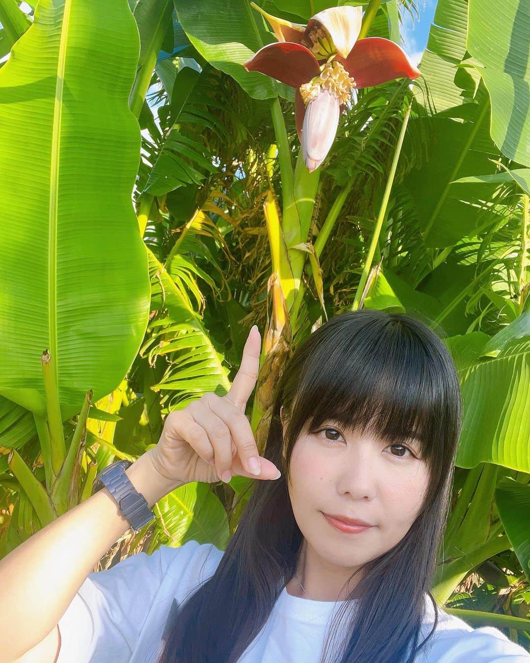 そらなさゆりのインスタグラム：「⁡ ⁡ ⁡ ⁡ このハシビロコウみたいな植物はなんでしょ〜✨ ⁡ ⁡ ⁡ #そらな農園」