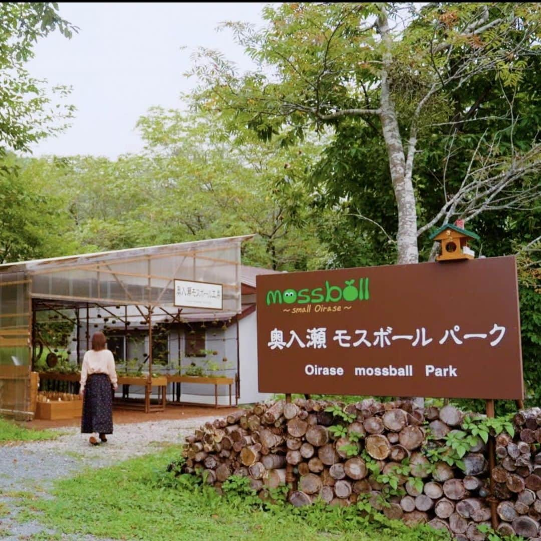 フジテレビ「空旅をあなたへ」さんのインスタグラム写真 - (フジテレビ「空旅をあなたへ」Instagram)「今週木曜日22:54〜の「空旅をあなたへ」は、 アーティスト・chayが巡る、青森県✈️  日本有数の苔の名所、奥入瀬渓流。 ここでは、３００種類を超える苔が、清流を彩ります🌳🌱  今回は、苔と触れ合える工房へ🚶✨  奥入瀬の森をモチーフにした アート作品を鑑賞したら、こけ玉作りに挑戦します🥹👏  chayさんが選んだ苗木は・・？  自然と響き合う 青森の空旅です☺️  是非ご覧ください！  #chay さん #青森県 #十和田市 #奥入瀬  #奥入瀬渓流  #奥入瀬モスボール工房  #空旅をあなたへ #soratabi #撮影 #撮影オフショット」10月19日 15時15分 - soratabi_fuji