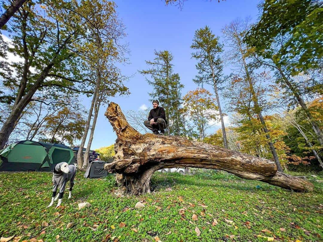 エバンズマラカイ(マラチ)のインスタグラム：「🏕️With my best buds🥳🥳🐶  Love you guys.  Palm詩篇96:12 Let the fields be jubilant, and everything in them; let all the trees of the forest sing for joy. 野とその中にあるものはみな、喜び勇め。そのとき、森の木々もみな、主の御前で、喜び歌おう。」