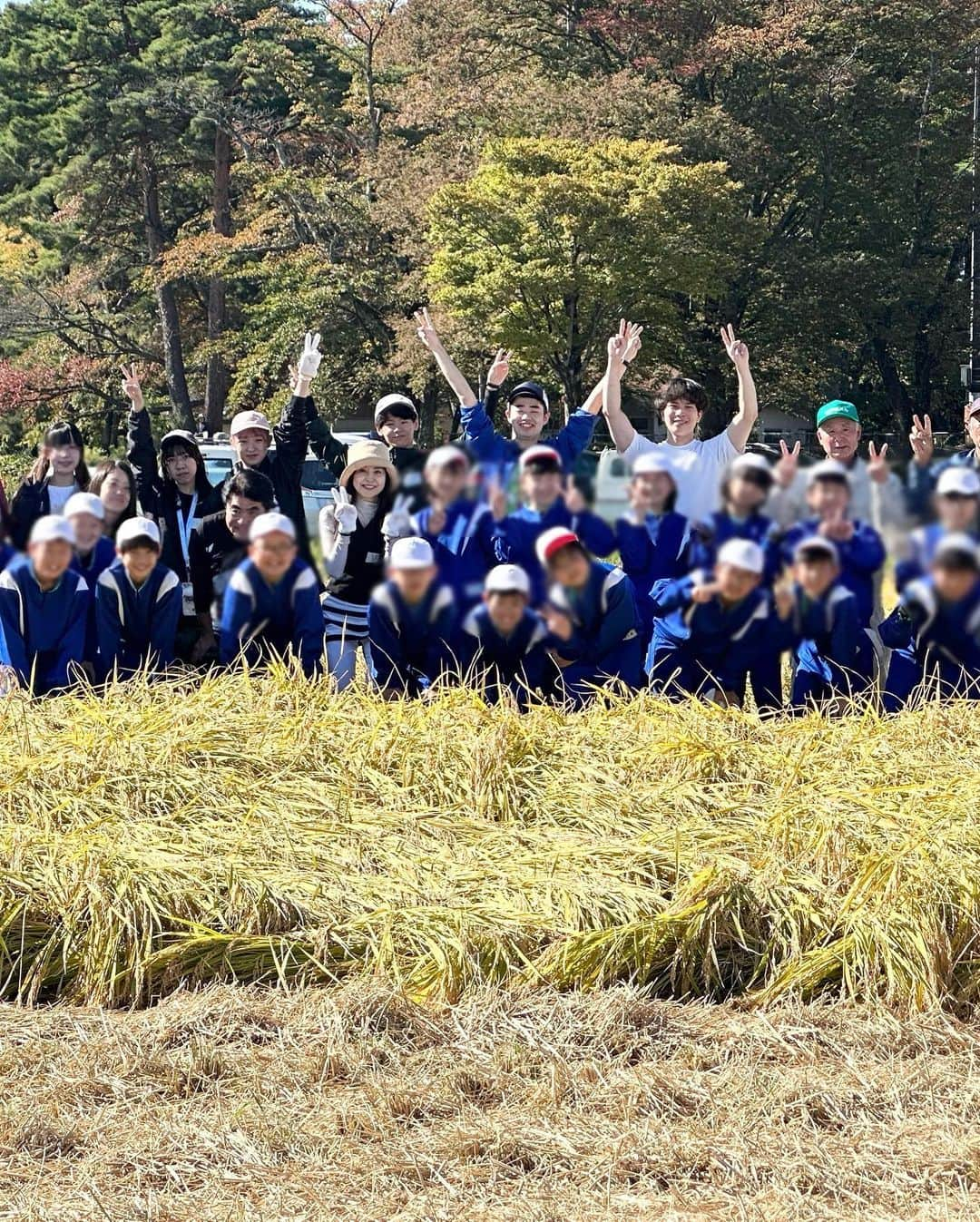 大桃美代子さんのインスタグラム写真 - (大桃美代子Instagram)「矢吹町の「田んぼの学校」の稲刈りがおわりました。  コロナ禍で出来なかったときもありましたが、  今年はお天気に恵まれ、雲ひとつない晴天。  ウクライナの国旗みたい。🇺🇦  この田んぼの学校は、小学生の農業体験授業、、  だけではありません。  矢吹町役場、善郷小学校、中畑、矢吹小学校、  東京農業大学の「カブトエビ農法」など、農業デザイン科の学生さん、地元若手農業者チームなど、官学がコラボした農業の実験がおこなわれているのです。  かれこれ、10年以上続いているのは、  皆様のご協力があってこそ。  カブトエビは、昔は田んぼの何処にでもいた昆虫です。  田んぼに群生すると、雑草を食べてくれて、無農薬での栽培が可能になるという、  農法で、矢吹町の田んぼはそれに挑戦しているのです。  カブトエビの姿が目視出来るようになったのは、  ここ数年なんです。  エジソンの言葉を思い出します。  「成功するまで諦めなければ、失敗ではない」と。  カブトエビ米をブランディング出来るスタートラインまできた感じです。  ここまでくるのに、長かった。  でも、まだスタートです。  その場所で「校長先生」として参加させていただいて、貴重な体験をさせていただいています。  猛暑の影響は米作りにも出ていまして、  高温障害の白濁したお米が出たりしています。  時期をずらしての稲刈りに管理者はどれだけ気を遣ったことでしょう。  この時期に稲穂が倒れずに茎を強くされたそうです。  田んぼの管理をやってくださっている、  芳賀教頭先生のおかげです。  長年の功労に「感謝状」を送らせていただきました。  私の名前になっていますが、  関わる全ての方々からの思いです。  いつも有難う御座います。  矢吹町役場の皆様に感謝です。  NHKさんにも取材に来ていただき、感謝です。  みんな張り切って稲刈りしていました。  コメントしていました。  農業って、楽しい。  そんな子供たちが大きくなったら、街が変わりだす。  矢吹町のブランド米として皆様の元に届く日も近い？  矢吹町の挑戦、今後もお伝えします。  1日も早く平和に！  #やぶきまち#田んぼの学校#善郷小学校#中畑小学校#矢吹小学校#東京農業大学#カブトエビ#福島県#矢吹町#NHK#地域活性化#SDGs#稲刈り#コシヒカリ#国産」10月19日 16時08分 - miyoko_omomo