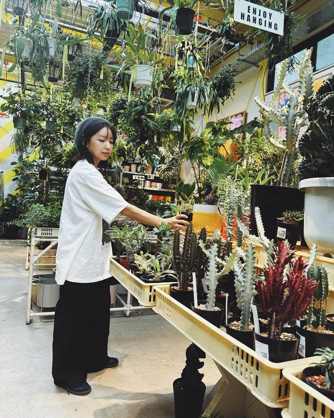 himecyanさんのインスタグラム写真 - (himecyanInstagram)「🌵🌵🌵 観葉植物のお手入れが生き甲斐なので植物増やしたくて見にいきました。  Tee @jane____smith  Pants @gu_for_all_  Shoes @adidasoriginals  Hat @ganni   #カジュアルコーデ  #156cm」10月19日 16時23分 - himecyan