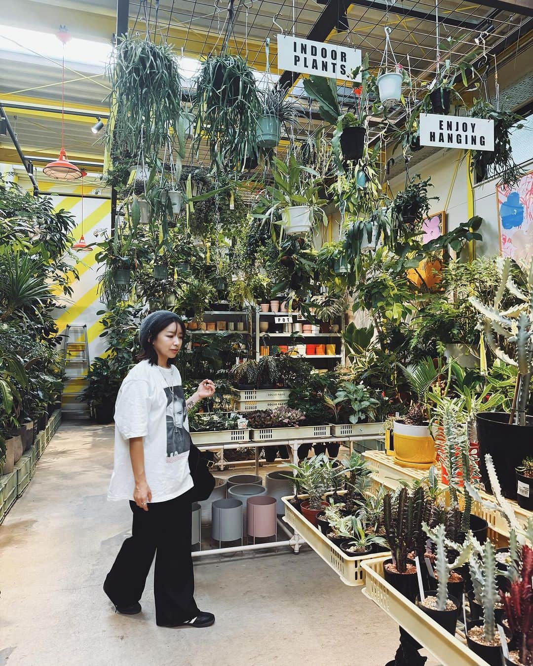 himecyanのインスタグラム：「🌵🌵🌵 観葉植物のお手入れが生き甲斐なので植物増やしたくて見にいきました。  Tee @jane____smith  Pants @gu_for_all_  Shoes @adidasoriginals  Hat @ganni   #カジュアルコーデ  #156cm」