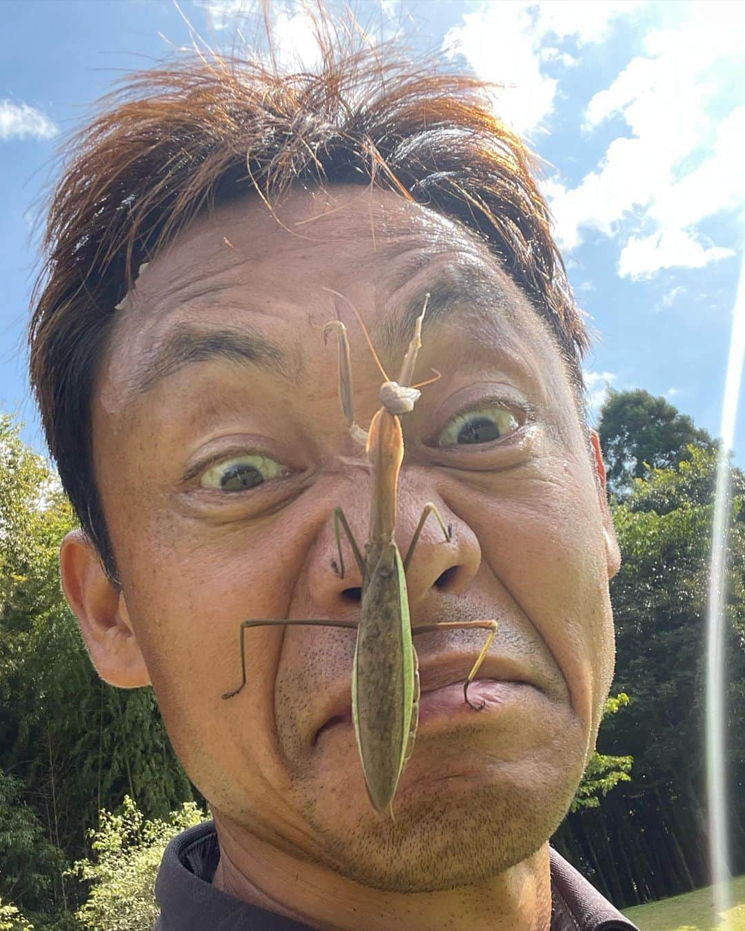 脇阪寿一さんのインスタグラム写真 - (脇阪寿一Instagram)「お腹に赤ちゃんいっぱいのオオカマキリが登ってきたけど、助けてやった✋️  #オオカマキリ #食物連鎖の頂点  #ムツゴロウさんの気分  #これでまたフォロワーが減る」10月19日 16時32分 - juichiwakisaka