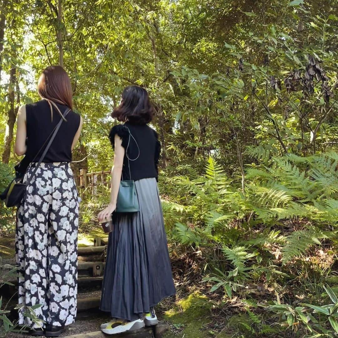 タイナカ彩智のインスタグラム：「秋晴れの美しい日、久しぶりにユイと、東京の森をお散歩🌳  年を重ねる中で、何度も何度も出会う、とびきり可愛い人。これをご縁と言うのでしょう。  暫くゆっくり会えてないなぁ、と思っていた頃に、いやいやここで会うか！というような人通りの全く無い道でばったり遭遇し😂、もう笑いました。  心までホカホカしてしまう、25度の10月のお散歩は、光を写し合いました。嬉しかったね！  @neatsyui」