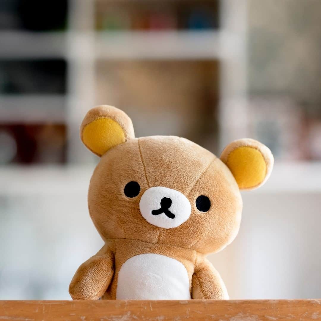 のインスタグラム：「【リラックマがいる暮らし＃85】 何かを考えているように 見えても、リラックマは 何も考えていません。  #リラックマがいる暮らし #リラックマ #秋 #rilakkuma #autumn #拉拉熊 #🐻」