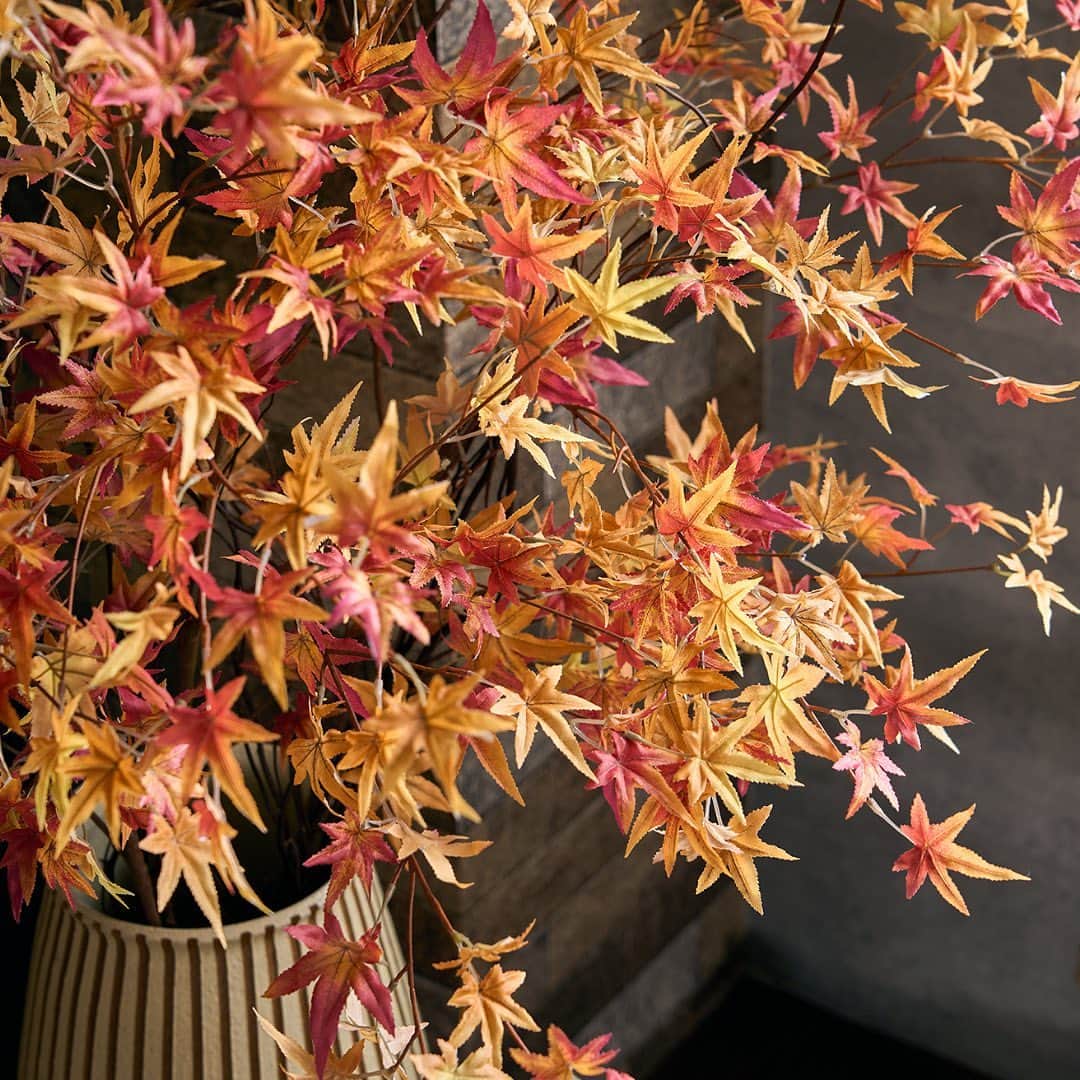 東京堂アーティフィシャルフラワーMAGIQのインスタグラム：「@magiq.jp ◁他の投稿はこちら💐 アーティフィシャルフラワーがたくさん！  ～ 🏠MY FLOWER LIFE💐～  『～今月のちょこデコ～ 量で変わる。うつわで変わる。 　　　　シーン別 季節のお花の飾りかた もみじ編』  日々の暮らしを彩ってくれるさまざまなお花たち🌼 ふだん何気なく目にするようなお花でも 飾る量や使う器を変えるだけで まったく違った見え方になります。  ふだんのお部屋や食卓にさりげなく。 お客様をお迎えする時には、たっぷりと豪華に。 【今月のちょこデコ】ではそんな２つの シーンごとに季節のお花を飾っていきます。  今回は、秋の風物詩・もみじ🍁 この時期ならではの風景は日本の季節の 移り変わりを実感させてくれます。 枝が折れたり葉が散ったりといった心配がない アーティフィシャルの枝ならではのご提案です。  詳しくは「マイフラ」をご覧くださいね。 https://myflowerlife.jp/tokushu/blog/b320/ 次回もお楽しみに😉  ◉Follow Me！◉ 👉@magiq.jp ＿＿＿＿＿＿＿＿＿＿＿＿＿＿＿＿＿＿＿＿＿＿＿＿＿  #MAGIQ #MAGIQのある暮らし #東京堂 #東京堂magiq #造花 #マイフラ #アーティフィシャルフラワー #artificialflowers #flowers」