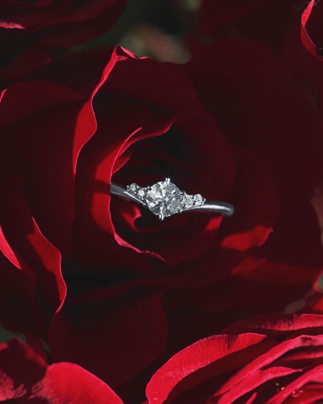 ラザール ダイヤモンド ブティック公式 | 婚約・結婚指輪のインスタグラム：「ー エターナルに続くダイヤモンドの輝き ー  ダイヤモンドを七色に輝かせる 理想的なプロポーション「アイディアルメイク」は 暗いところでも僅かな光を捉え、奇跡の輝きを放つ。  圧巻の煌めきは、一度見たら忘れられない。  ＜婚約指輪＞ROSELAND  #lazarediamond #ラザールダイヤモンド #婚約指輪 #エンゲージリング #NEWYORK #NYC #ダイヤモンド #ダイヤモンドリング #ブライダルリング #ブライダルリング専門店」