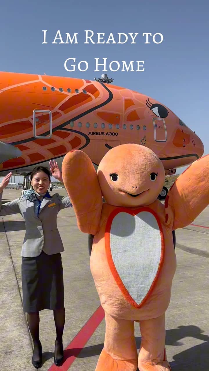 のインスタグラム：「FLYING HONU3号機🐢明日から運航開始✈️ #allnipponairways #ana #flyinghonu #honu #hawaii #trip #travel #airline #旅行 #ハワイ」