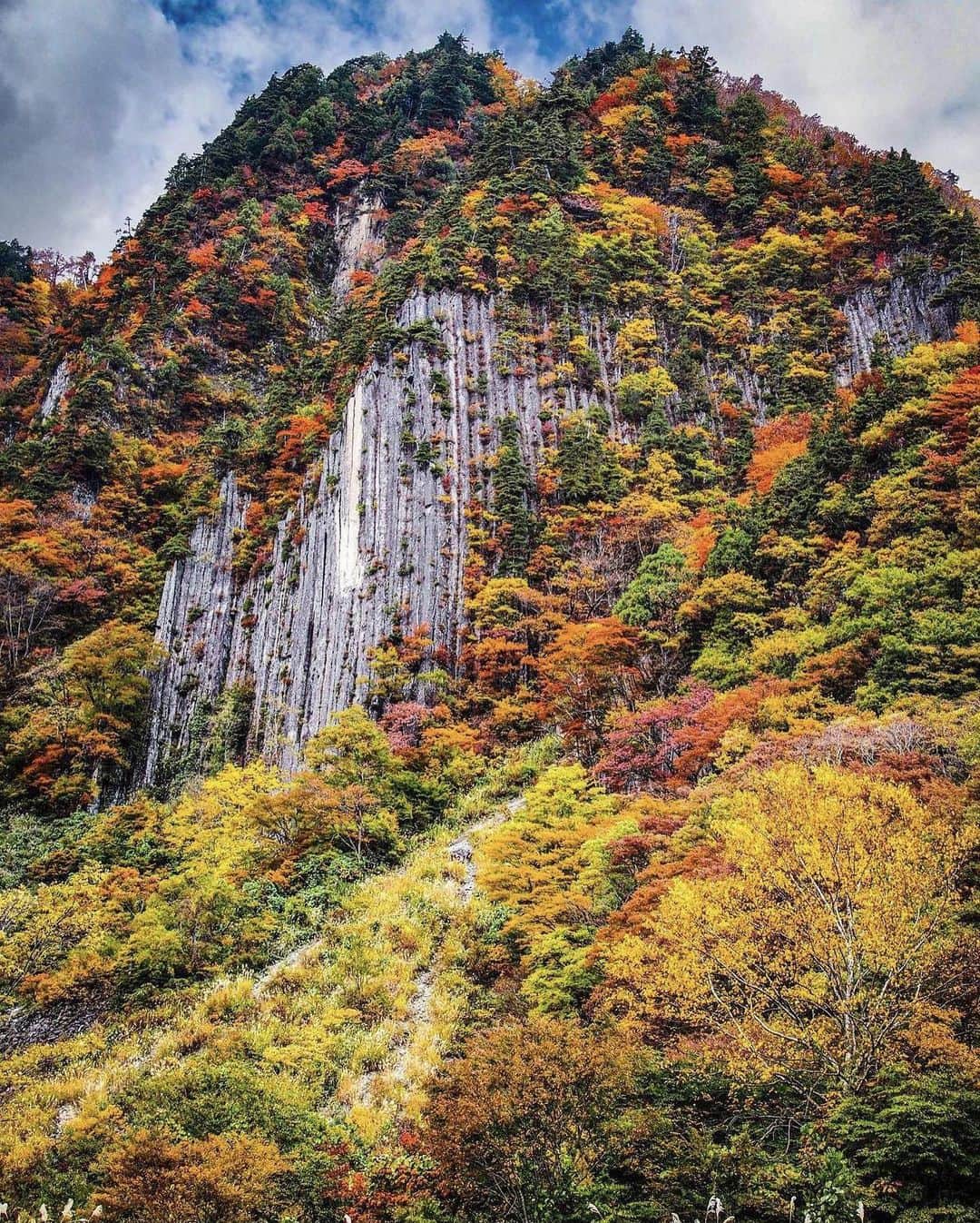 のインスタグラム：「// Photo by @saitomokiti  自然の造形美 「秋山郷 布岩」　 ＠栄村、新潟県津南町  栄村と新潟県津南町にまたがる山間地域「秋山郷」 日本の秘境100選にも選出されたこの地に 絶壁の露出した岩肌が印象的な「布岩」はあります😀✨️  規則的な割れ目が美しい「柱状節理」によって、 長い岩を何枚も垂らしているようにも見えます👀✨️  特に10月中下旬から11月初旬ごろの紅葉の時期は 圧巻の景色を楽しむことができますよ🍁✨️  ＝＝＝＝＝＝＝＝＝  Akiyamago Nunoiwa (Sakae Village; Tsunan Town, Niigata Pref.)  The mountainous region of Akiyamago sits on the border of Sakae Village in Nagano and Tsunan Town in Niigata. In this picturesque location that has been designated one of Japan’s Top 100 Hikyō (unexplored/secluded regions), you’ll find the Nunoiwa dome with a rugged wall of bare rock.   The regular pattern of fractures in the rock creates a beautiful display of polygonal columns, a natural phenomenon known as columnar jointing.  From mid-October to early November, you can enjoy spectacular scenery of autumn colors.  ＿＿＿＿＿＿＿＿＿　  Location / Sakae Village , Nagano , Japan   #おうちでながの #長野のいいところ #布岩 #栄村  ＿＿＿＿＿＿＿＿＿  🍁インスタアワード秋冬⛄作品募集中📷  #長野の列車旅秋冬 撮影場所(長野県内に限ります) をキャプションに入れて 応募期間（10/16～1/31）に投稿してください。 優秀作品に選ばれると 長野県特産品セットをプレゼント🎁」