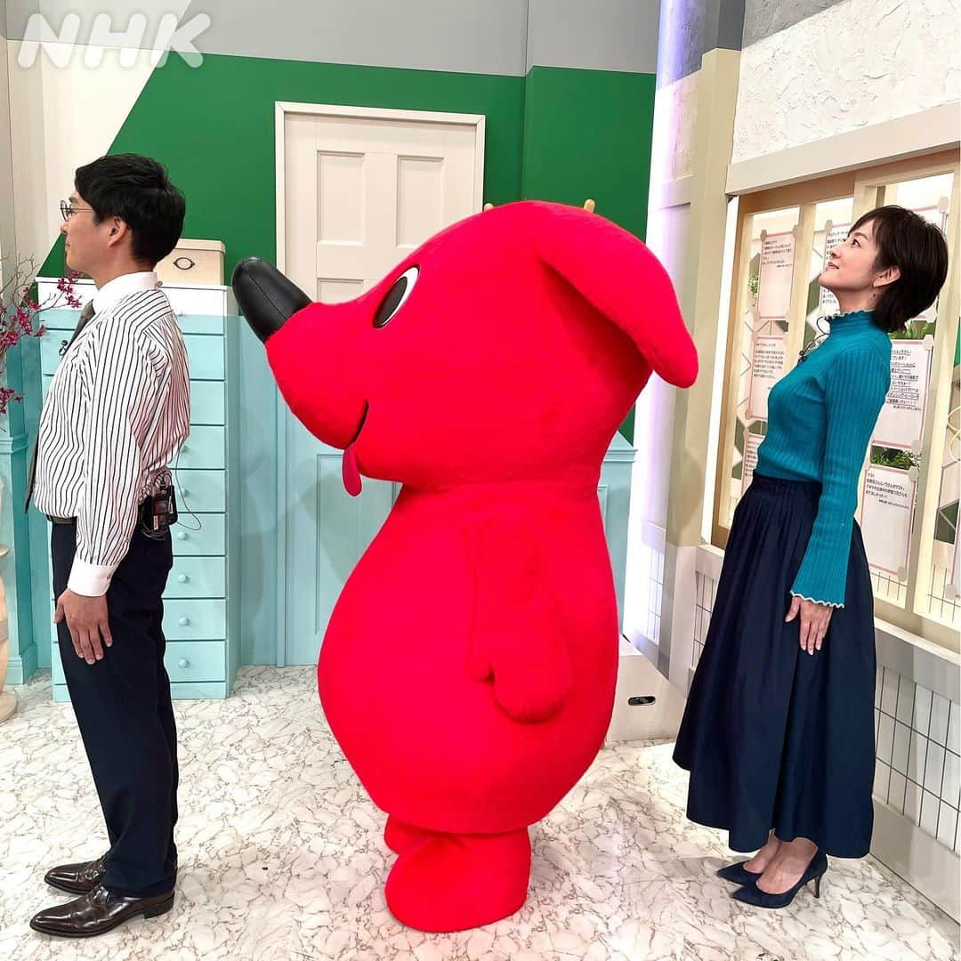 あさイチさんのインスタグラム写真 - (あさイチInstagram)「＼チーバくんがあさイチに😍／   千葉県のマスコットキャラクター、 チーバくんが来てくれました！   横を向くと「千葉県の形」に👉2枚目 千葉県のみなさんはチーバくんの体にたとえて 場所を表すんだとか😲   ちなみに鈴木アナは、 舌の部分（浦安市）に 子どもの頃住んでいたそうです👉3枚目   みなさんが縁のある千葉県の場所は、 チーバくんの”どこ”ですか？ コメント欄で教えてください💁‍♀️    @nhk_asaichi   #チーバくん#千葉県 #千葉県のポーズ #荻野目洋子 さん #平野ノラ さん #田中逸人 アナ #鈴木奈穂子 アナ #nhk#あさイチ #8時15分から」10月19日 17時06分 - nhk_asaichi