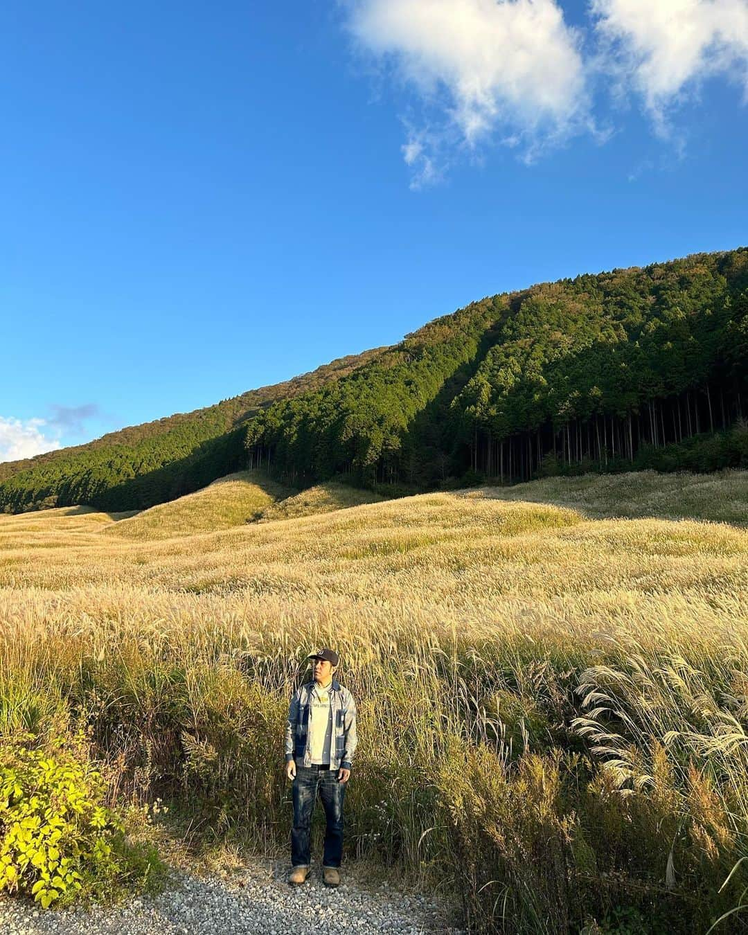 伊藤智博さんのインスタグラム写真 - (伊藤智博Instagram)「すすき、キレイでした。  #すすき #🌾 #仙石原すすき草原 #すすき草原 #箱根 #箱根旅行 #夫婦旅行 #夫婦 #thehwdogandco #pointerbrand #warehouse #ウエアハウス #jelado #ジェラード #301xx #lastresort #slowwearlion #スローウェアライオン #LLR伊藤 #嫁丸」10月19日 17時38分 - itotomohirollr