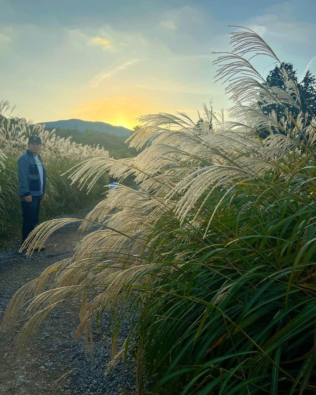 伊藤智博さんのインスタグラム写真 - (伊藤智博Instagram)「すすき、キレイでした。  #すすき #🌾 #仙石原すすき草原 #すすき草原 #箱根 #箱根旅行 #夫婦旅行 #夫婦 #thehwdogandco #pointerbrand #warehouse #ウエアハウス #jelado #ジェラード #301xx #lastresort #slowwearlion #スローウェアライオン #LLR伊藤 #嫁丸」10月19日 17時38分 - itotomohirollr