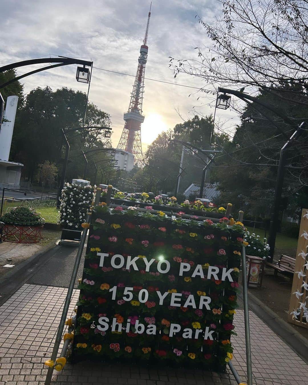 木全寛幸のインスタグラム：「芝公園「花と光のムーブメント」本日から始まりました！！  水面に東京タワーが映ってる花手水があったり、オバケカボチャがあったり、ずらっと並んだフラワーメリーゴーランドがあったり楽しく写真を取れるところがたくさんあります！！^ ^ 夜にはライトアップもしてますよー！  楽しく作らせていただきました^ ^ 11/19までです！是非見に行ってみてくださいね！！  #芝公園 #花と光のムーブメント #お花がかり #フラワーメリーゴーランド #花手水  #今まで身長が高いから散々東京タワーくらいあるんじゃないとかイジられてきたけど本当にそれっぽく見えるよね知らんけど」