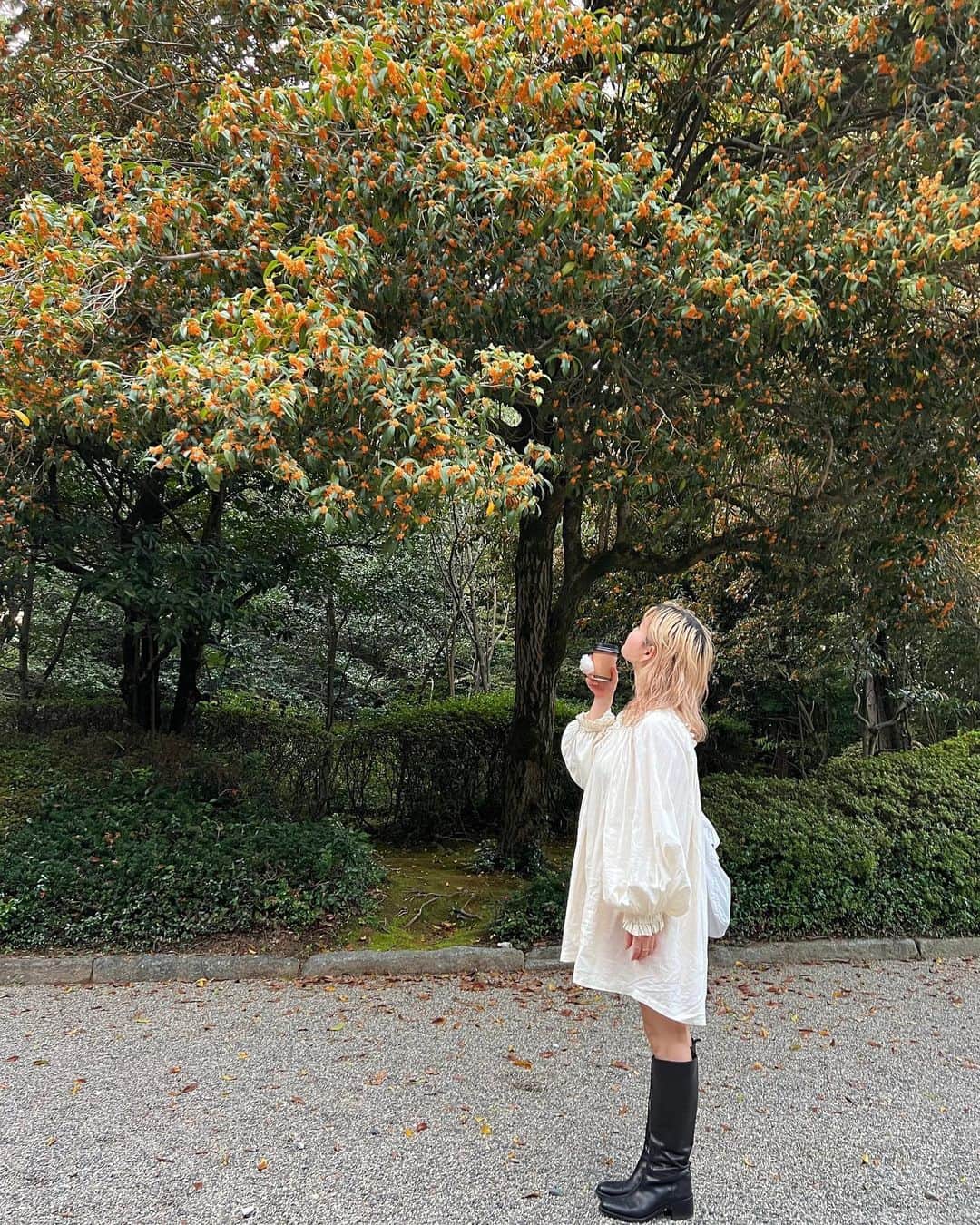 sakincho1028のインスタグラム：「あきとさきの秋。 金木犀と焼き芋、だいすき。🍠 秋もいっしょに楽しいことたくさんしよ。🦊 あきちゃん待ってる間に私は1人で秋刀魚を食べていた。🐟」