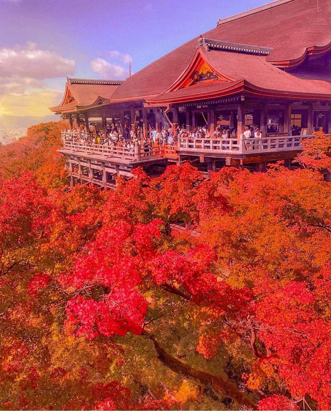 hama_aki_pppのインスタグラム：「京都市東山区#清水寺  Loation Kyoto Japan #kiyomizudera   2022.11月撮影　  　 　  #神社仏閣  #寺社仏閣  #こころから  #おとな旅プレミアム  #そうだ京都行こう  #日本に京都があってよかった  #関西でお写んぽ  #寺院仏閣  #タビジェニ　 #京都大人旅  #日本庭園  #japanese_gardens  #japanesetemple  #jalan_travel  #beautiful_kansai  #loves_united_kyoto  #visitjapanjp #zekkeipicture  #japantemple #iphonephotography  #jalan_travel  #sorakataphoto  #kyototemple  #cooljapanvideos  #zekkeijapan  #deaf_b_j_  #total_japan  #japanesegarden  #kiyomizuderatemple」