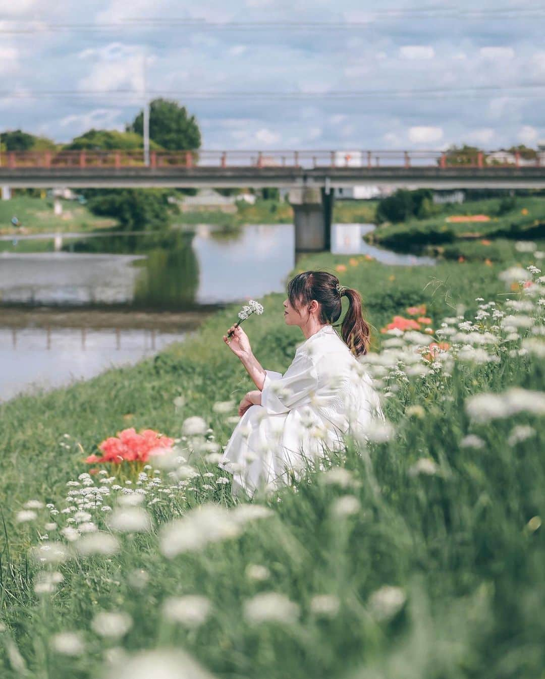 yukiのインスタグラム：「・ #彼岸花 #彼岸花の咲く頃  #僕らが見ている風景 __________________________ 日々の撮影記事やコラム更新中！ ・・・・・・・・・・・・・・・ ◉FAN限定サイト◉ https://www.fansnet.jp/sty830 __________________________」