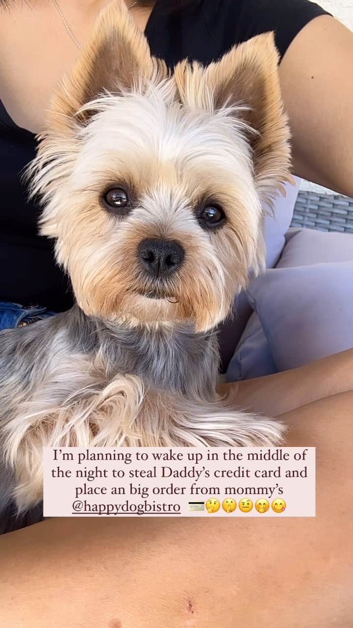 のインスタグラム：「Allie 💭 I’m a smart planner!! 🤫🤔🤨😜💳😋 #DontTellAnyOne #LittleSecret #SmartPlanner #SecretPlan #DaddysCreditCard #OnlineShopping #HappyDogBistro #HappyAlmostFriday #LittleLove #PrettyLittleGirl」