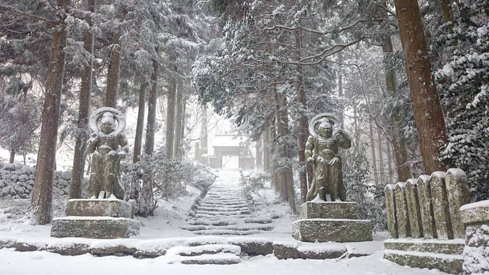 日本の国立公園のインスタグラム：「Take a winter walk around the expansive ancient grounds of Futagoji Temple 🧤🧣  For a unique winter destination, look no further than the snow-covered temple grounds of Futagoji Temple in Oita’s Setonaikai National Park. Located halfway up Mt. Futago, the highest point of the Kunisaki Peninsula in northern Kyushu, Futagoji Temple dates all the way back to the year 718. ❄️😯  Take the traditional approach to the temple by first passing over Mumyo Bridge, lit. “the bridge of ignorance.” It is said that Kannon, the Goddess of Mercy, is enshrined under the bridge, and that crossing this bridge is said to bring about a mysterious feeling of faith, and that if a cow or horse crosses the bridge, it will fall off. In the stillness of winter, the path to the temple feels even more suspended in time as you lock eyes with the imposing Nio statues solemnly guarding the stone steps to the temple, draped in white wreaths of snow. It is said that rubbing the feet of these statues will strengthen your legs and back. Continue upwards past the parking lot up another set of snow-covered steps and you will reach the main hall, Goma-do. 🦶🦵  In addition to its long history and expansive forest, Futagoji Temple is famous as a sacred place for child-giving. Whatever your reason for visiting this majestic temple, Futagoji has something to offer for everyone and a long winter walk around these holy grounds will certainly calm the mind. 👶🌲  Leave a 🥾in the comments if you’re ready to go for winter walk around Futagoji Temple.  📍 Futagoji Temple, Oita  📸 A snow-covered Nio statue guarding the entrance to Futagoji   Photo By：©Futagoji  #NationalParksJP #SetonaikaiNationalPark #Futagoji #Oita #AncientTemples #NioStatues #WinterWonderland #JapanTemples #WinterTemple #Kunisaki #Japan #Travel #Tourism #ExploreJapan #DiscoverJapan #VisitJapan #日本 #国立公園」