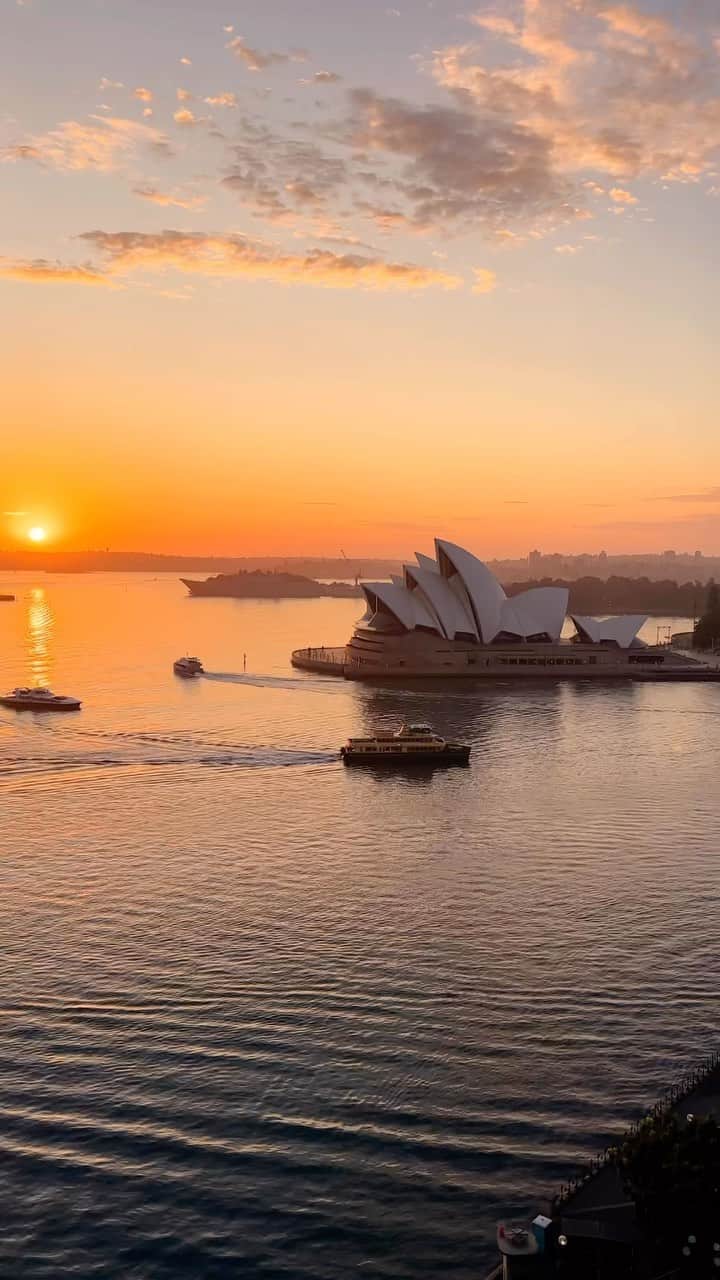 Australiaのインスタグラム：「Gee, @sydneyoperahouse, you look ridiculously good for fifty! 🎂👏 Today, we’re celebrating the 50-year anniversary of one of #Australia’s most iconic landmarks, which officially opened in 1973. To mark the occasion, there’s a fantastic lineup of music, dance, theatre, art, and loads of family fun throughout October 🎉 Planning a visit to @visitnsw’s capital city? Follow the lead of locals and enjoy a sundowner at @operabarsydney or a sunrise paddle with @ozpaddlesydney, all while soaking in the magnificence of this much-loved monument.  📍: Sydney Opera House, @sydney, #NewSouthWales - home to the Gadigal people.   #SeeAustralia #ComeAndSayGday #FeelNSW #FeelNewSydney   ID: video features a compilation of views of the Sydney Opera House captured from different perspectives, featuring both interior and exterior shots. Includes scenic views from across the harbour, as well as a unique perspective from a kayak on the water.」