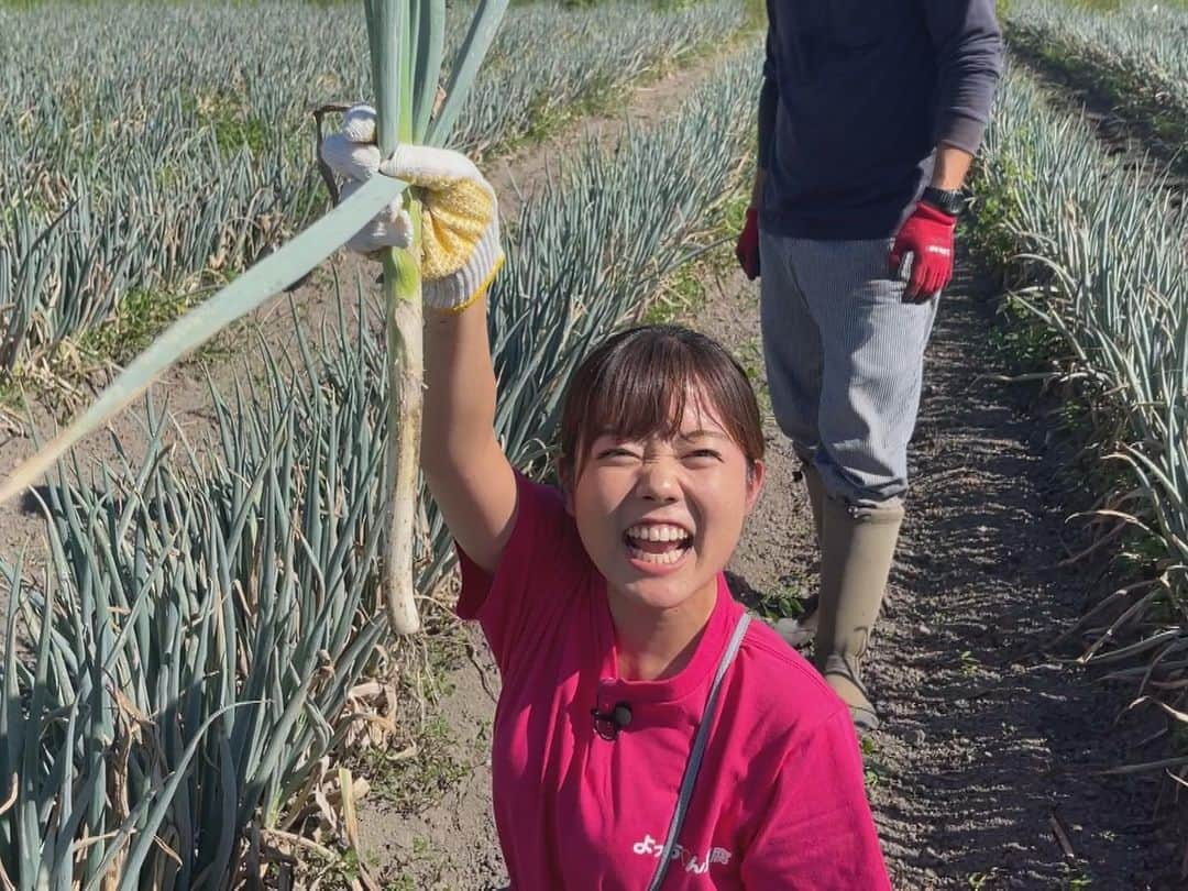 田村友里さんのインスタグラム写真 - (田村友里Instagram)「『広島大家族すき焼き』 こんな幸せがあっていいのでしょうか... 間違いなく日本一のすき焼きでした😭 生産者の方の顔が思い浮かぶからこそ美味しいのです😭  #イマナマ #花よりガッツ #広島大家族グルメ #よっちゃん豆腐店 #まつたけ村 #かっこいい農家藤谷さんの白ネギとネギ油 #大前醤油本店  #ふみちゃん家のたまご  #フォレスタ広島 #今村さんのコウネ  さて明日は地元の呉でロケ！！ 広•阿賀•仁方エリアに行きまーーーす！！！  .」10月19日 20時34分 - yuri_tamura0894