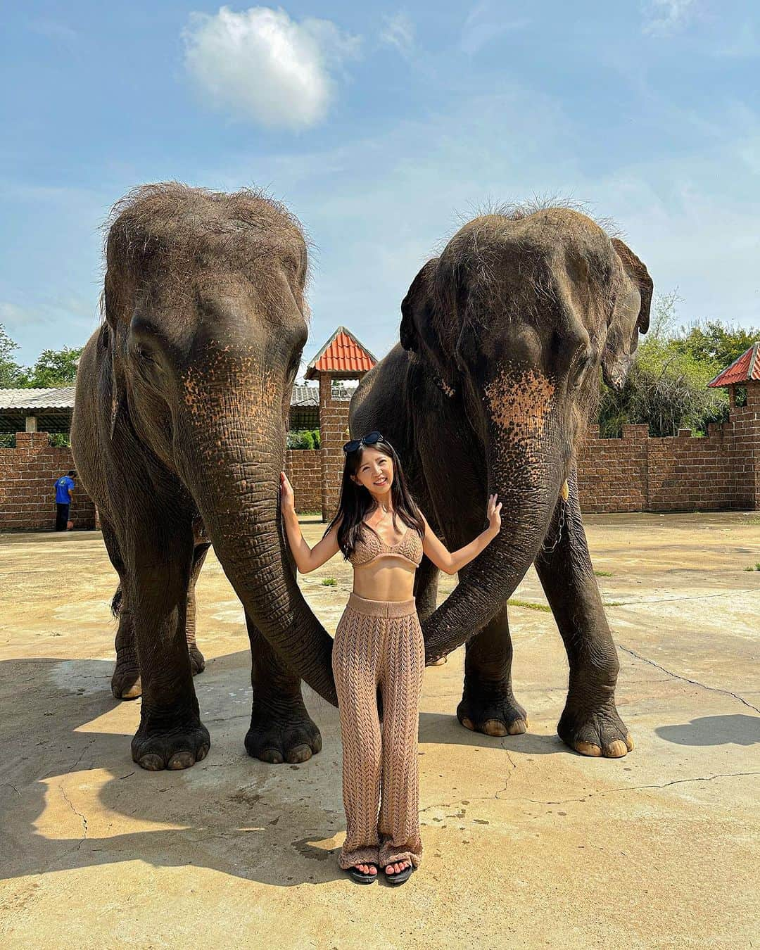 めいのインスタグラム：「🇹🇭Thailand  ここはたくさんの動物たち近距離を触れることができるので、本当になかなかないの体験めっちゃ楽しかった  ・ ・ ・　 ・ ・ ・  —  #instapic#日本#タイ#寫真#portrait#사진#水着#バンコク#커피#ポートレート#japanesegirl#写真集#japan#旅行#泰國#섹시#photo#写真部#フォロー#撮影#model#view#safari#tokyo#follow#portraitsedition  這裡有很多都可以近距離接觸的動物們在等你們來玩」