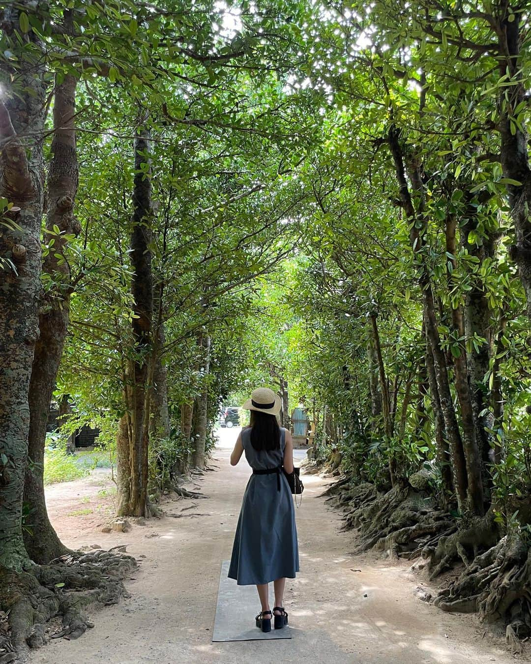 神崎菜緒（なをまる）のインスタグラム：「ㅤㅤㅤㅤㅤㅤㅤㅤㅤㅤㅤㅤㅤ  ㅤㅤㅤㅤㅤㅤㅤㅤㅤㅤㅤㅤㅤ 沖縄旅行〰️🌺🌴  フクギ並木🌳 お家の周りに大きな縄と大きな石がいっぱいあって不思議だった。 わたしが島育ちだったらどういう人生を歩んでたのかな〜。と考えながらお散歩した🙃」