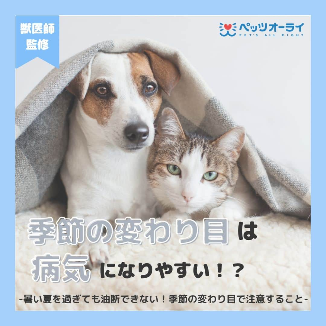 PET'S ALL RIGHT 【公式】のインスタグラム