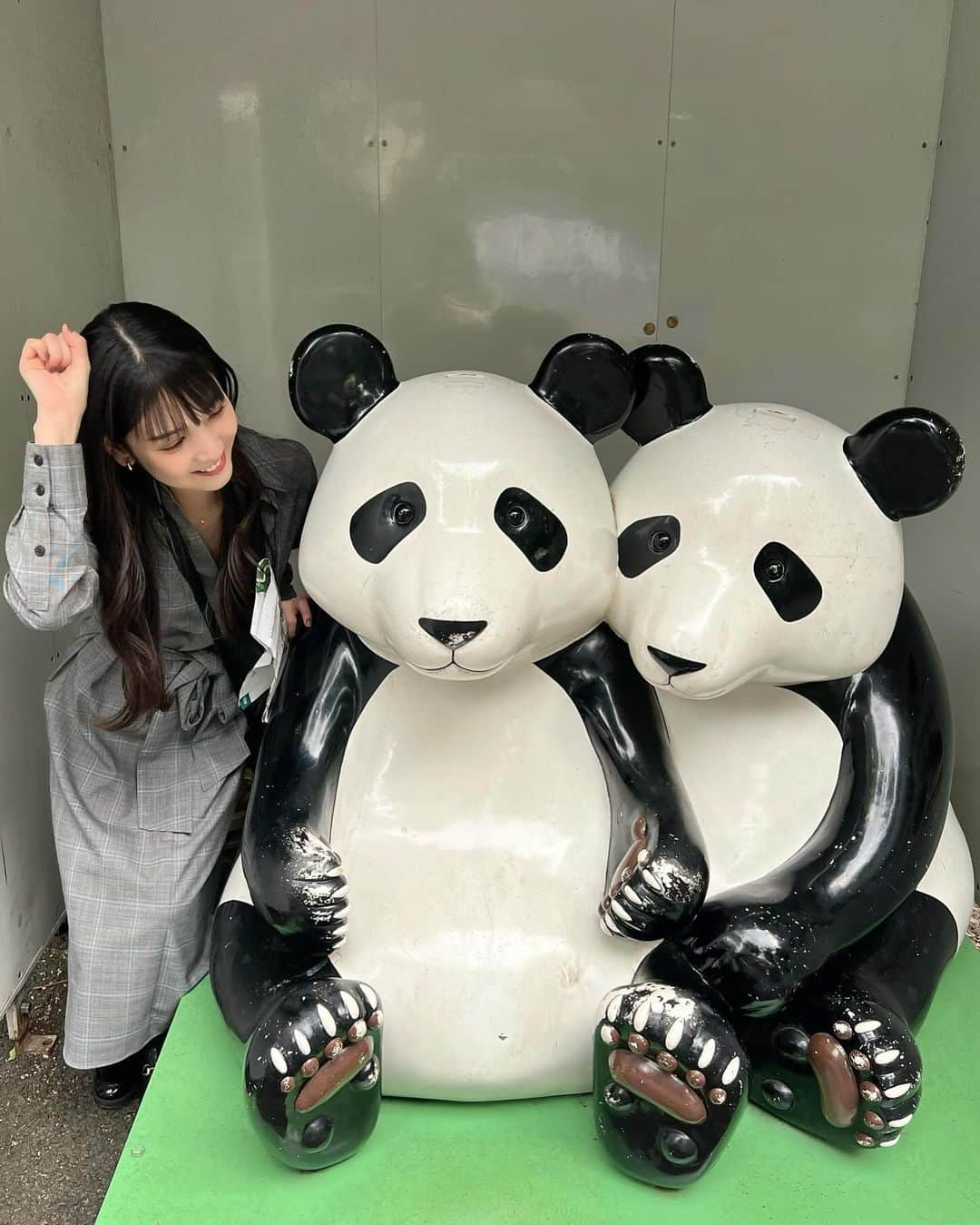 道重さゆみさんのインスタグラム写真 - (道重さゆみInstagram)「この前友達🍉と、 またまた上野動物園(前回回りきれなかったエリア見に！)と、 ハロウィンアフタヌーンティー🫖してきたー！！🎃  トラをめっちゃ近くで見ることができました！！🐯 立ち去るまでずーっと見てました✨  前回、楽しすぎたアルマジロやハダカデバネズミがいる小獣館にもまた行きたかったけど、閉園時間きちゃって行けませんでした。笑 なので、本当にキレーーーーに2日間かけて半分ずつ見ました！！  友達🍉にささりまくってるハダカデバネズミの写真と、写真は撮ってきました😆  ハロウィンアフタヌーンティーも可愛くて美味しくて満足🧡💜  #上野動物園 #ハロウィンアフタヌーンティー #アフタヌーンティー」10月19日 21時14分 - sayumimichishige0713