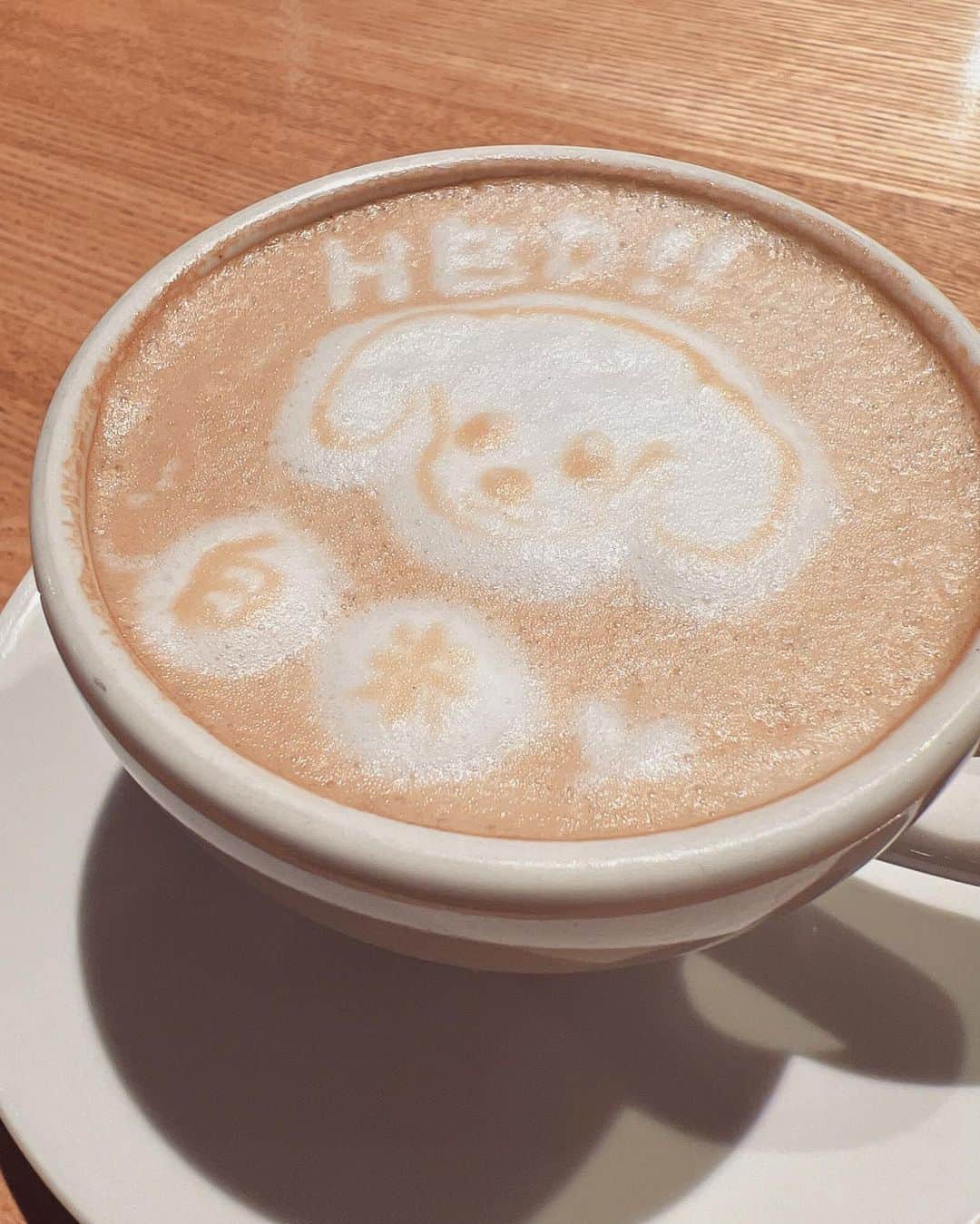 道江幸子さんのインスタグラム写真 - (道江幸子Instagram)「白米🍚くんと出逢って今日で1年記念日✨あの瞬間の事も全部鮮明に覚えてる♡懐かしいなあ🥺 花火見てビックリしてる白米🍚くん🤣🤣 これからもよろしくね。 ⁡ ⁡ ⁡ ⁡ ⁡ #1stanniversary #白米🍚くん #チワックス #こいぬ #いぬすたぐらむ #犬のいる暮らし #dog #dogstagram #天真爛漫白米🍚くん #犬すたぐらむ #puppy」10月19日 21時25分 - sachiko_michie