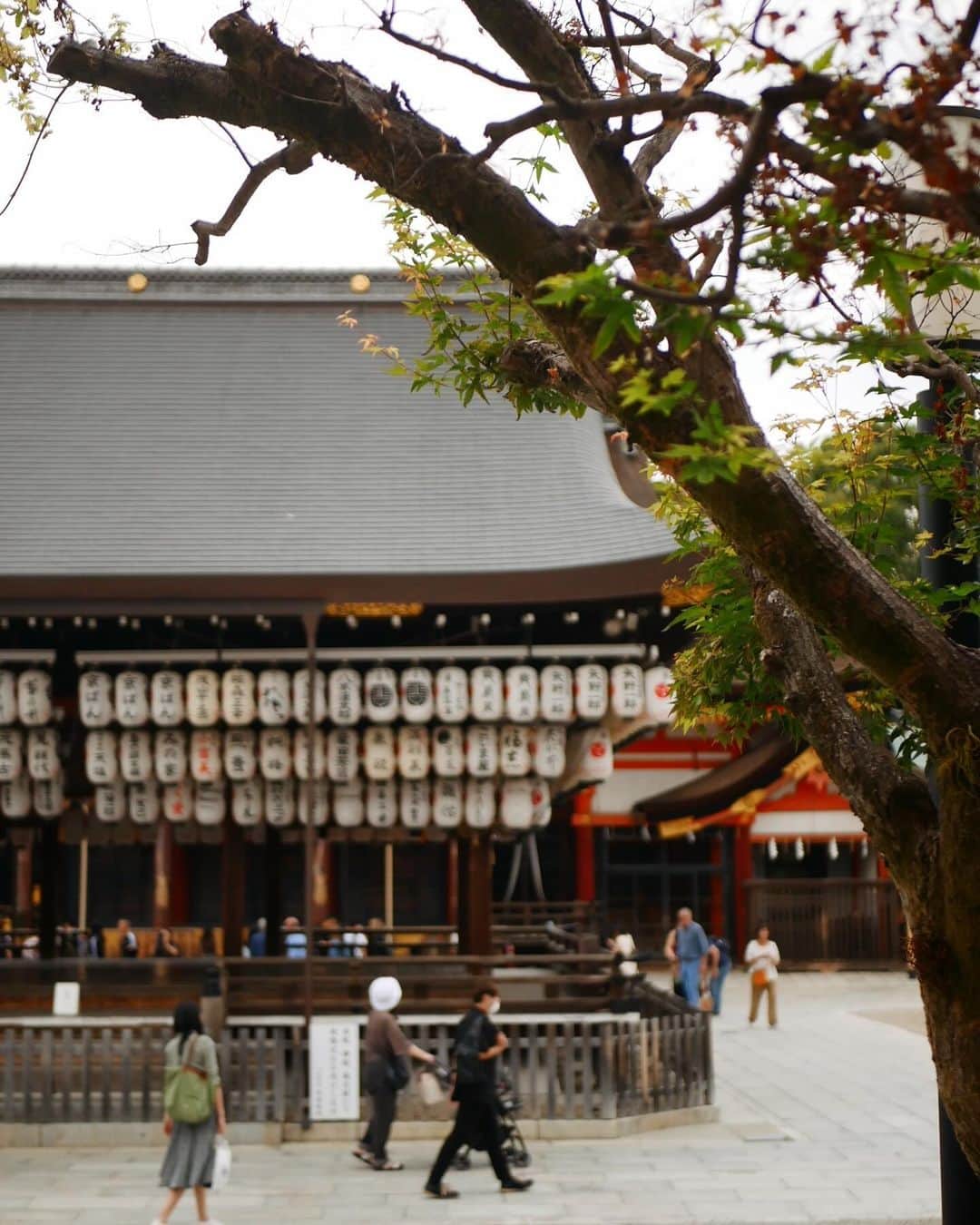 西岡詩穂さんのインスタグラム写真 - (西岡詩穂Instagram)「京都弾丸旅行⛩️ ⁡ 少し前に母と2人で京都へ行きました！ ⁡ 私は小さい頃からフェンシングをしていて 家族と過ごす時間はかなり少なく、 母との時間はもっとありませんでした🥲 ⁡ だからこそ今は、母との時間は大切に💓 色んな場所へ行ったり、美味しいものを食べたり、母との思い出をこれからたくさん作りたいなと思っています✨☺️ ⁡ それにしても大人になってからの京都散歩は楽しすぎて、ついつい歩きすぎました😳✨ 少し小道に入るだけで歴史を感じられる場所が多くて、1週間くらい歩き回りたいなと本気で思いました😂 ⁡ 1日目の京都はリールもあげてるのでぜひ見てみてください⛩️🧡 ⁡ #京都 #京都観光 #京都旅 #京都散策 #京都が好き #母と旅行 #親子旅 #kyoto #kyotojapan #japantraveler #qbag #qbagアンバサダー #qbagコーデ」10月19日 21時45分 - shih05823