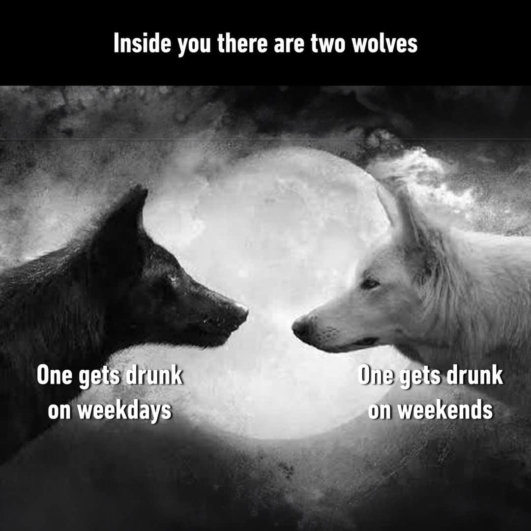 9GAGさんのインスタグラム写真 - (9GAGInstagram)「🍻  - #wolves #drunk #drinking #alcohol #memes #9gag」10月19日 22時02分 - 9gag