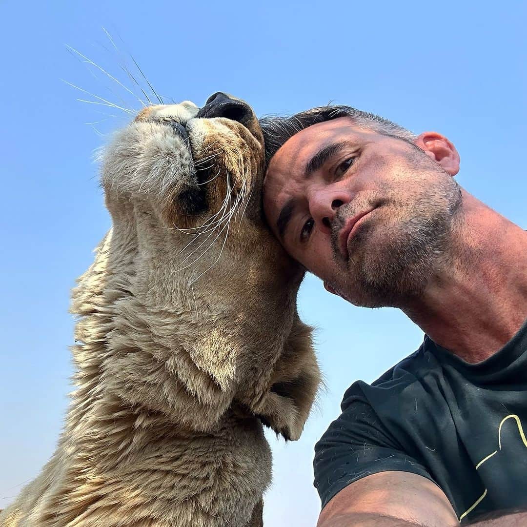 Kevin Richardson LionWhisperer のインスタグラム：「Because two heads are better than one #twoheadsarebetterthanone #together #askmeg」
