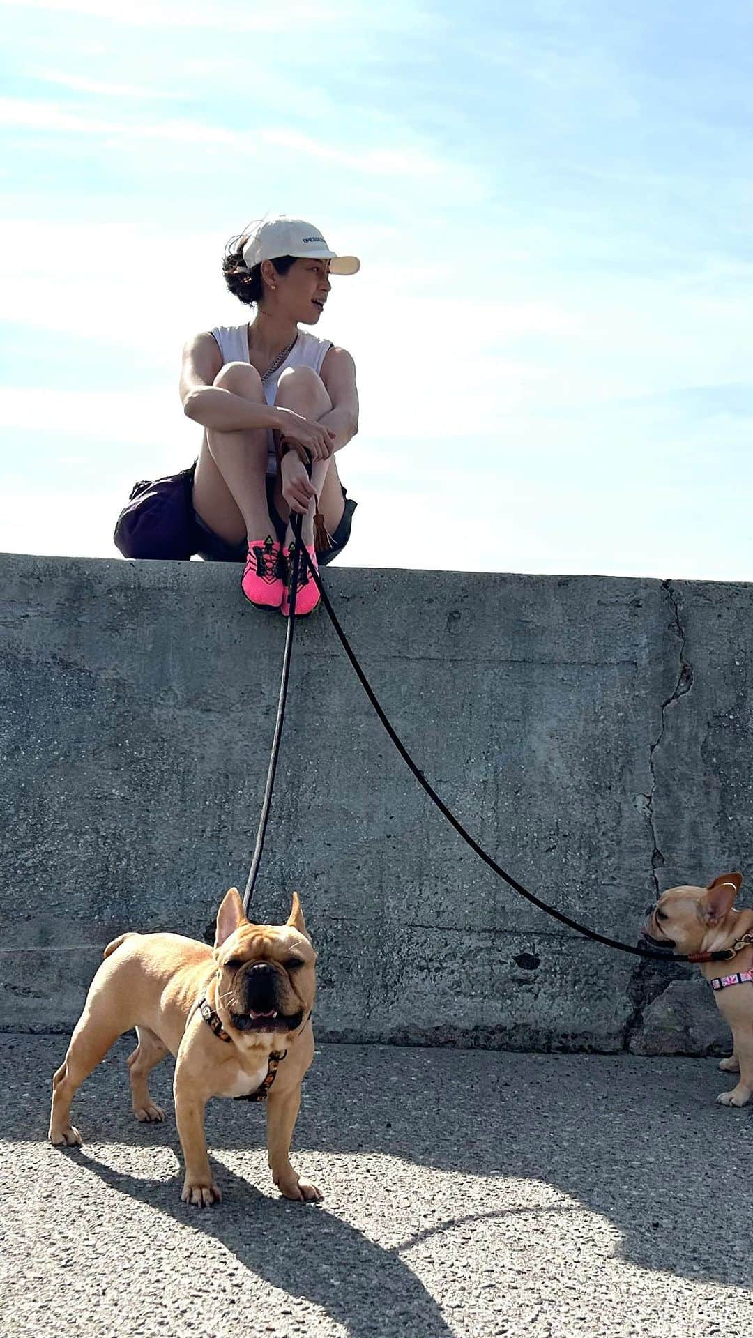 月船さららのインスタグラム：「夏の終わりの海は人がいないから好き。  #守谷海岸  #犬と海」