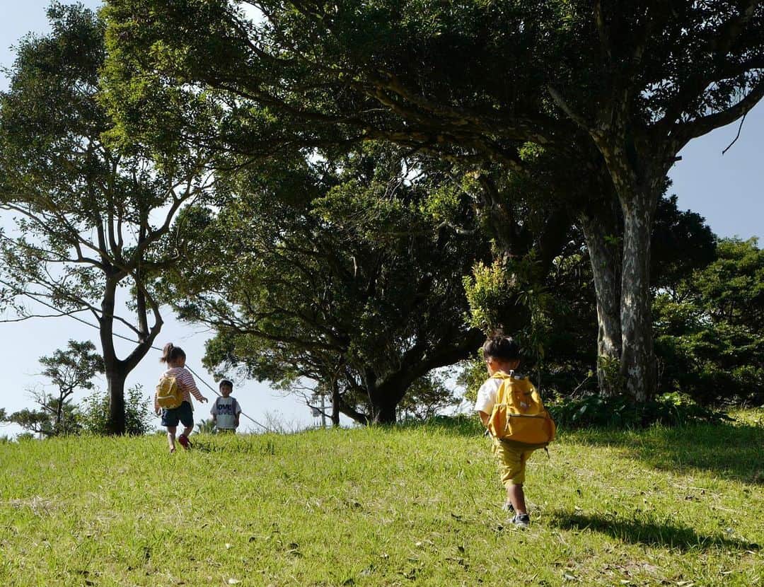 武智志穂さんのインスタグラム写真 - (武智志穂Instagram)「宿の近くの海が一望できる大きな公園・サンパーク🛝 優しい秋風が金木犀の香りを運んできてくれて、とっても居心地の良い公園でした🥺  話は変わりますが、我が家の双子の弟・絢士は実は高所恐怖症。 普段は公園に行っても高い場所の遊具にはあまり興味を示さないのですが… この日だけは紅一点の姫にカッコイイところを見せようと、網のアスレチックや雲梯に先頭切って積極的にチャレンジしていました🤣 写真4.5枚目をよ〜く見て。 へっぴり腰やし、笑顔がめっちゃひきつってますやん！ もうその健気な姿が可愛すぎて夫と大笑い。 男ってのは、3歳からカッコつける生き物なんですね。  遊具でカッコイイ俺アピール作戦に失敗した絢士は、その後、お菓子プレゼント作戦に切り替えて猛アタック。 でもねぇ、絢士さん… 自分が舐めたよだれだらけの飴ちゃんをレディーにプレゼントするのは、ちょっと感心しないわねぇ🤣 これからはちょこちょこ女心も教えなきゃかな〜。笑  #えいけんdiary #宮崎観光 #日向 #サンパーク」10月19日 22時42分 - shiho_takechi