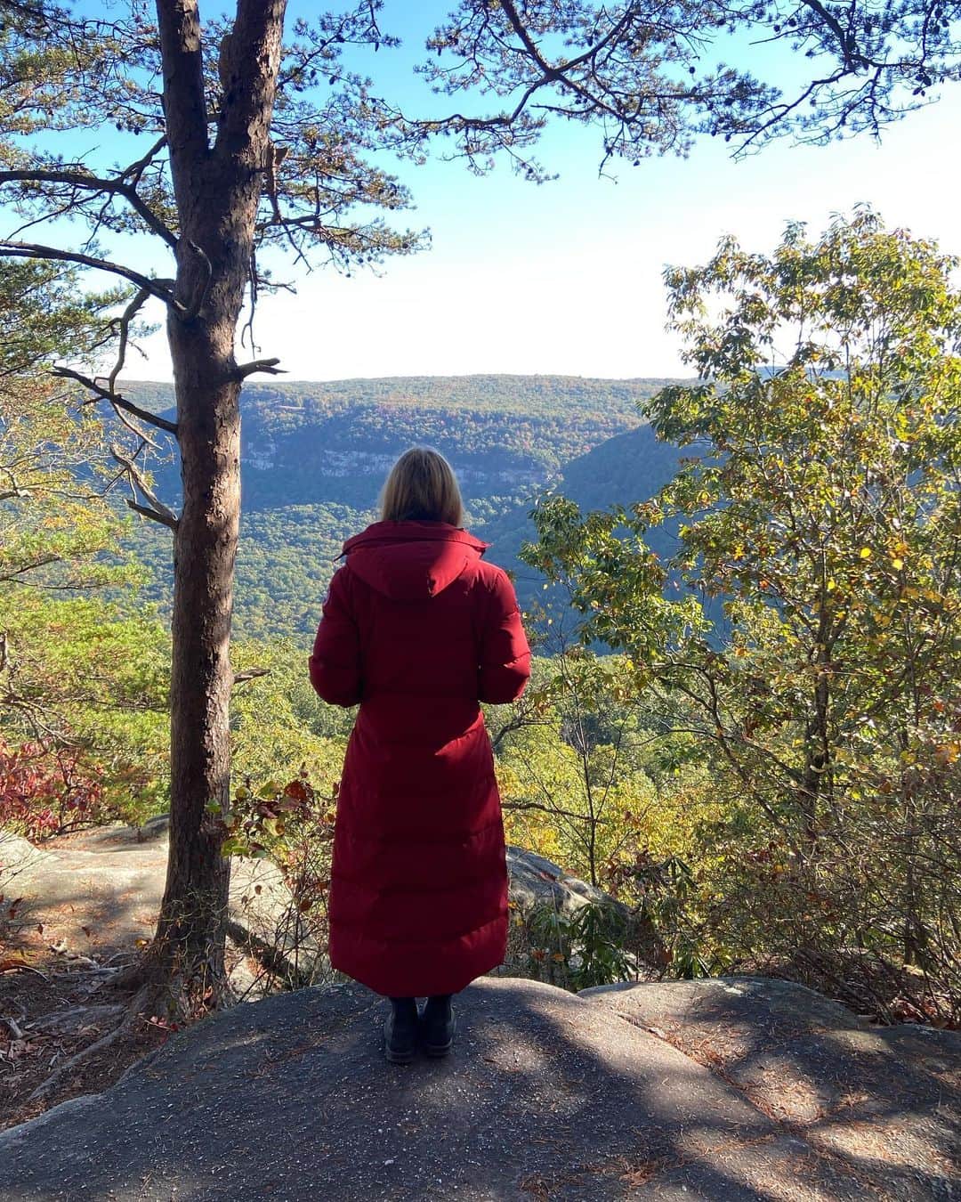 ジョアンナ・ブラッディさんのインスタグラム写真 - (ジョアンナ・ブラッディInstagram)「🏕️🍂🔥⛰️🐈🐈‍⬛ . . . . . #camping #adventure #hike #catsofinstagram #fall #autumnvibes #autumn」10月19日 23時02分 - thejohannabraddy