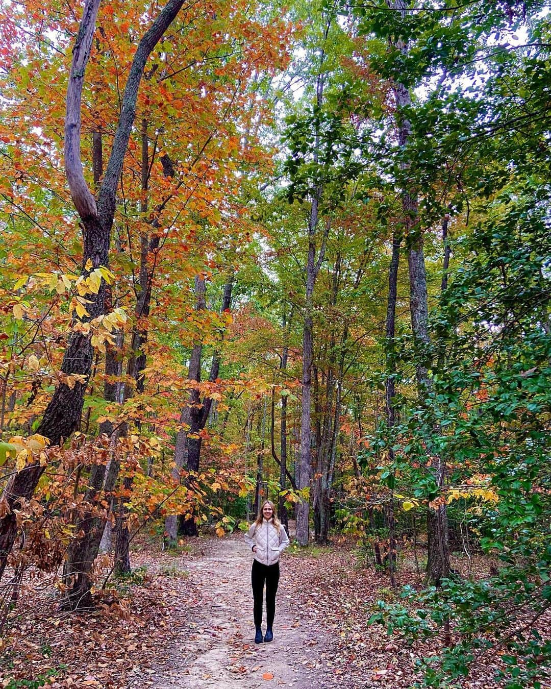 ジョアンナ・ブラッディさんのインスタグラム写真 - (ジョアンナ・ブラッディInstagram)「🏕️🍂🔥⛰️🐈🐈‍⬛ . . . . . #camping #adventure #hike #catsofinstagram #fall #autumnvibes #autumn」10月19日 23時02分 - thejohannabraddy