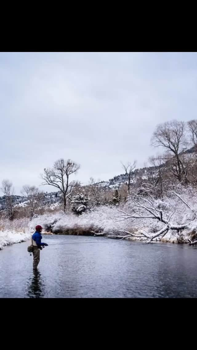 Ricoh Imagingのインスタグラム：「Baby It’s Cold Outside  . . . 📸: @arkfilms_dp 📸: #pentax645z  #flyfishing #finatic #thomasandthomasflyrods #montana #plotagraph #pentax645z #pentaxian #teampentax #arkfoto #latergram」