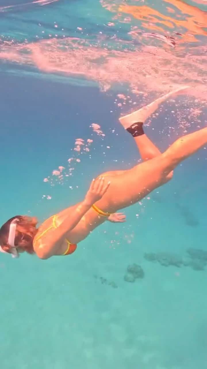 大川成美のインスタグラム：「沖縄。 スキンダイビング。 . ． 動画&写真▶️ @hiraku.k  ． ． ． #scubadiving #スキューバダイビング　#skindiving #스쿠버다이빙　#sea #openwaterdiver #水中 #水中写真 #沖縄 #スキンダイビング女子#okinawa #japan #ocean」