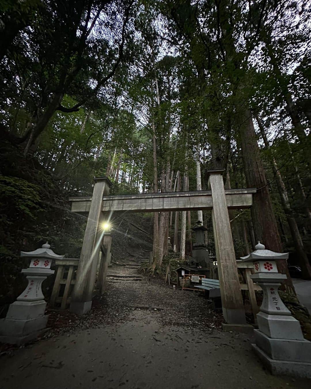 のインスタグラム：「七面山で修行して来た⛰️ 険しい山の中で自分との戦い 登り切ったら目の前に富士山...感動 そしてすぐに池から龍神様がお出迎えにいらしてくれてメッセージを下さいました 魂が震えて涙が出てくる 頂上ではお寺で精進料理を食べて、お経を聞いて下山 下山は集中力を切らしたら落ちる...岩で何度も転びそう...登りとはまた違った険しさがあるんだね 8時間山に居た！ 精神と体力の戦い勝ったー！」