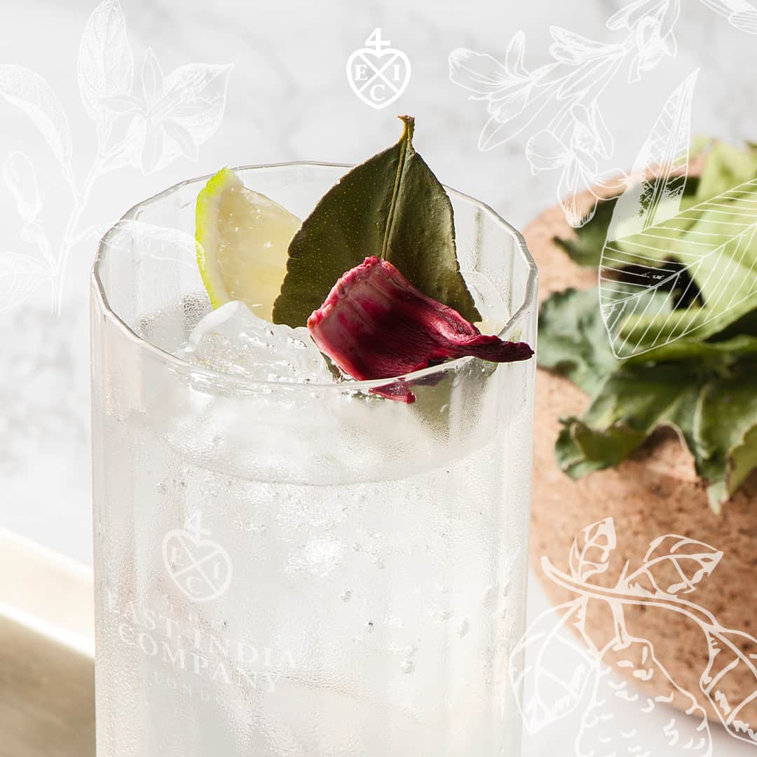 The East India Companyのインスタグラム：「#LondonCocktailWeek is coming to a close for the year and we finish our series of classic recipes with a very lively and refreshing drink – The East India Company Gin Collins. Simple, yet rewarding, the Gin Collins is the perfect alternative to a gin and tonic.   Mix together:  30ml The East India Company London Dry Gin 15ml Green cardamom & The East India Company Assam tea syrup 20ml Freshly squeezed lime juice Topped with soda water Garnish: Kaffir lime leaf & bergamot leaf  For more recipe inspiration, visit our website: https://lifestyle.theeastindiacompany.com/pages/cocktail-week  #theeastindiacompany #cocktail #cocktailrecipe #cocktailinspo #drinksinspo」