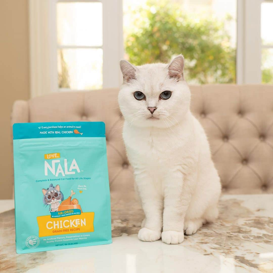 ミスター・ホワイトのインスタグラム：「Just a little sibling jealousy— Coffee was wondering why he’s not on the packaging! 😹   Air-dried recipes are now available on Amazon— link in bio to shop!   #cats #cat #catsofinstagram #love #lovenala #catfood #airdried」