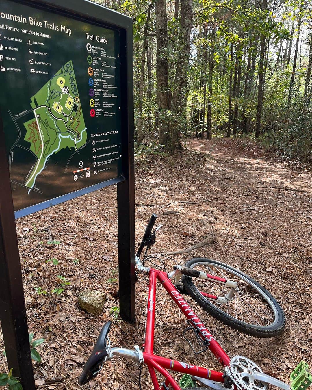 Kishi Bashiさんのインスタグラム写真 - (Kishi BashiInstagram)「I’m always surprised when people are surprised that Athens has some really nice #mtb trails.  And the firefly trail is getting better and better 👏🏼.  See you tomorrow Athens at @cineathens for @omoiyarisongfilm and some 🎶. 10pm!」10月20日 1時01分 - kishi_bashi