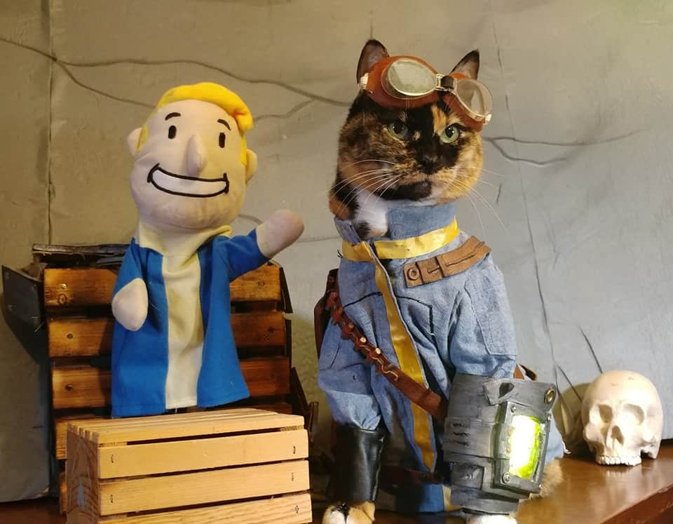 猫コスプレさんのインスタグラム写真 - (猫コスプレInstagram)「He seems trustworthy.  #Fallout #Vault77 #Fallout3 . . #vaultdweller #thelonewanderer #falloutcosplay #cat #catcosplay #cosplay #cosplayer #cats #petclothes #PetCostume #catsinclothes #falloutfanart #vaultboy #pipboy」10月20日 2時51分 - cat_cosplay