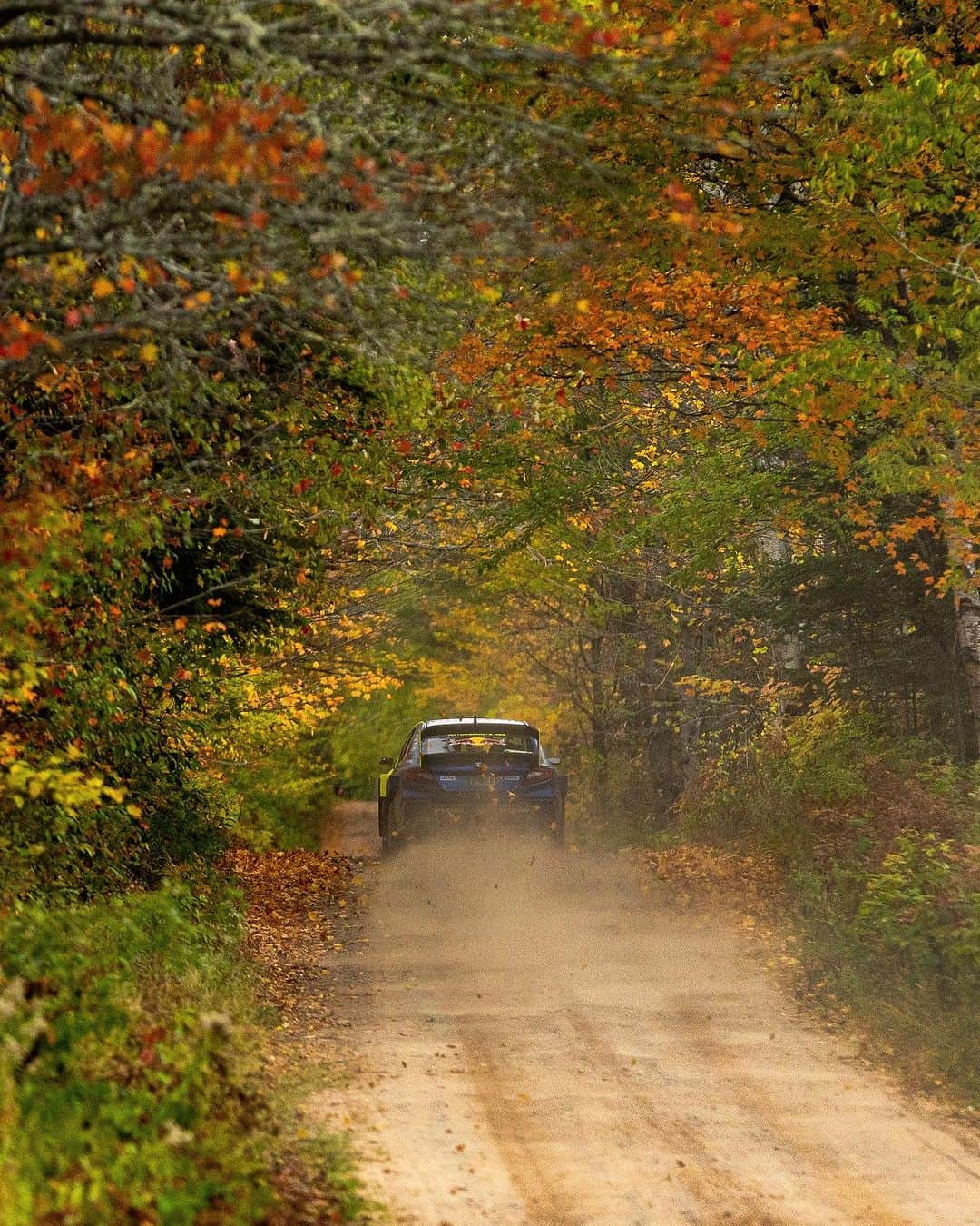 Subaru Rally Team USAさんのインスタグラム写真 - (Subaru Rally Team USAInstagram)「A fall stroll in my #SubaruWRX  #subaru #wrx #rally #motorsports #fall #autumn   Photo: @matthew.stryker」10月20日 5時34分 - subarumotorsportsusa