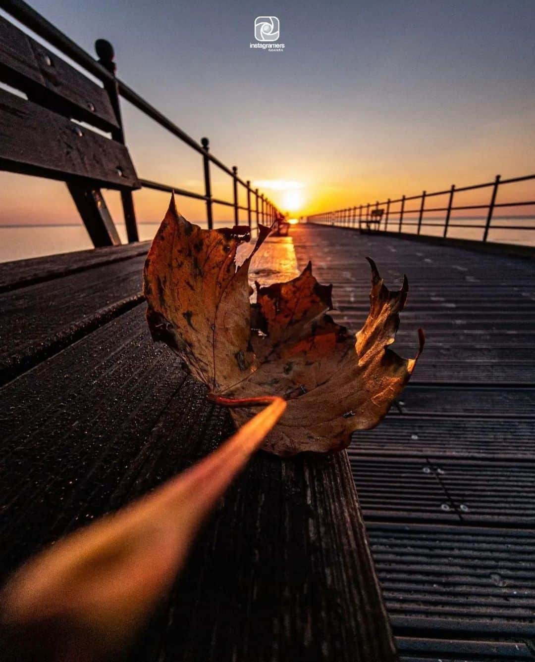 Instagramersのインスタグラム：「Autumn vibes by @malrzypos_  and @igersgdansk 🍁📸🧡 #igersgdansk #igerspoland #igers」