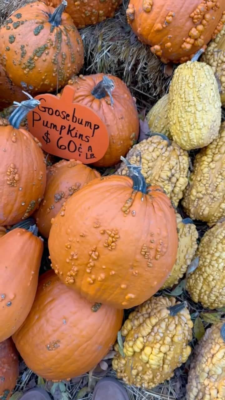 ジョーディン・ウッズのインスタグラム：「take time to enjoy the small things, favorite time of year 🍁」